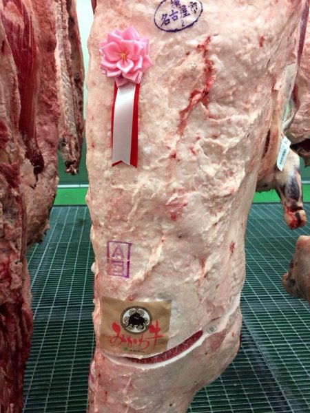 画像6: みかわ牛せんべい (6)