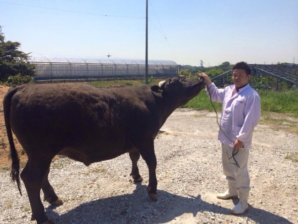 画像5: みかわ牛せんべい (5)